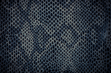 Image showing Blue python snake skin