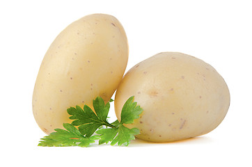 Image showing New potato and green parsley