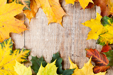 Image showing autumn leaves