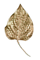 Image showing Beautiful decorative golden leaf 