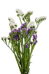 Image showing White  and purple statice flowers