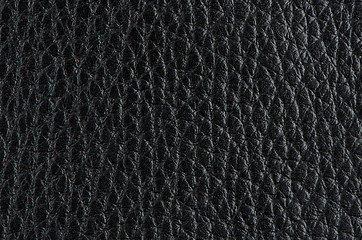 Image showing Black leather 