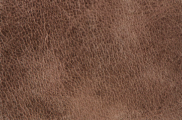 Image showing Brown leather 