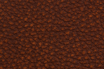 Image showing Brown leather 