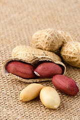 Image showing Peanuts