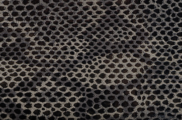 Image showing Snake skin background