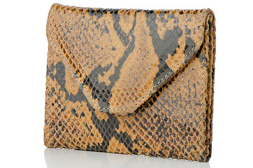 Image showing Snake skin leather wallet 