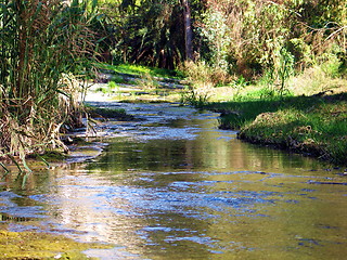 Image showing A little stream. Nicosia. Cyprus