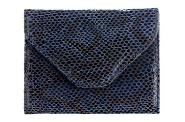 Image showing Blue Leather Purse 