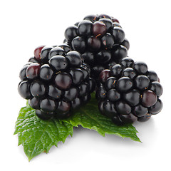 Image showing fresh berry blackberry