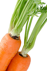 Image showing Fresh carrots