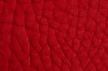 Image showing Red leather 