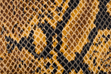 Image showing Snake Skin Leather Texture 