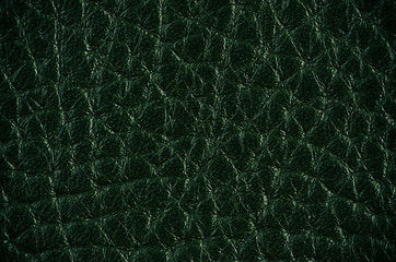 Image showing Green leather 