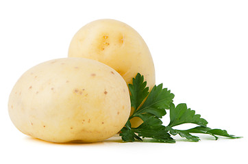 Image showing New potato and green parsley