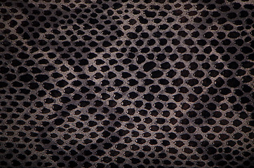 Image showing Snake skin background