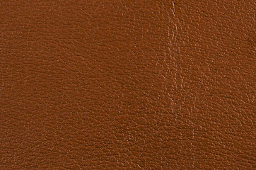 Image showing Brown leather 