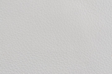 Image showing White leather 