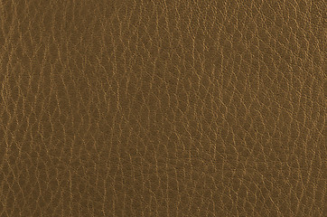 Image showing Golden color leather