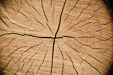 Image showing Crack wood spiral 