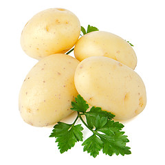 Image showing New potato and green parsley