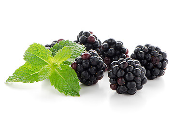 Image showing fresh berry blackberry