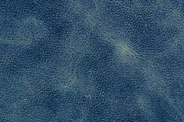 Image showing Blue leather 