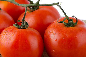 Image showing Cherry tomatoes vine