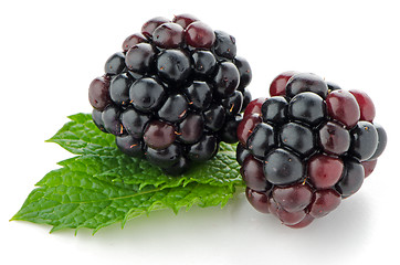 Image showing Ripe fresh blackberry