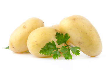 Image showing New potatoes and green parsley