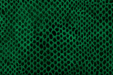 Image showing Green leather 