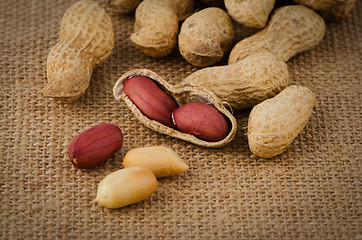 Image showing Peanuts