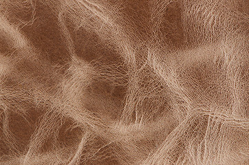 Image showing Brown old weathered leather