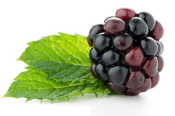 Image showing Ripe fresh blackberry