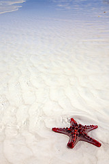 Image showing Zanzibar beach