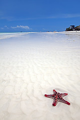 Image showing Zanzibar beach