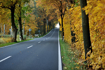 Image showing country road