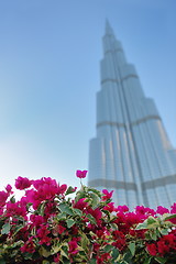 Image showing dubai burj khalifa skyscraper