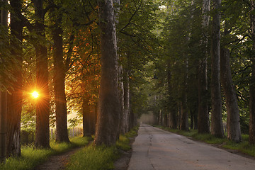 Image showing sunrise in beautiful alley