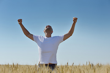 Image showing man in wheat field