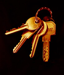Image showing House keys