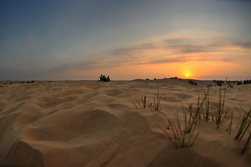 Image showing beautiful sunset in desert