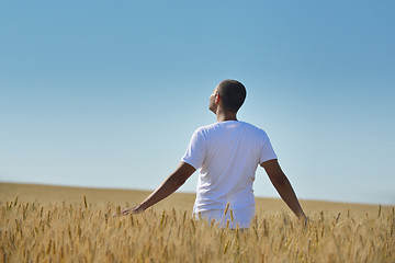 Image showing man in wheat field