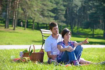 Image showing happy young couple having a picnic outdoor