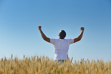 Image showing man in wheat field