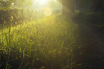 Image showing sunrise in beautiful alley