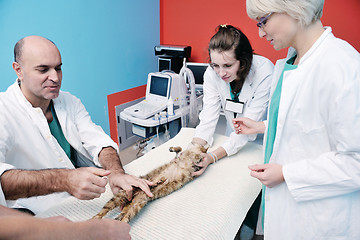 Image showing veterinarian and assistant in a small animal clinic