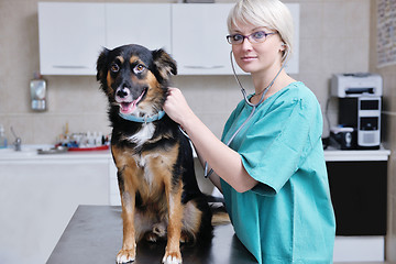 Image showing veterinarian and assistant in a small animal clinic