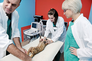 Image showing veterinarian and assistant in a small animal clinic