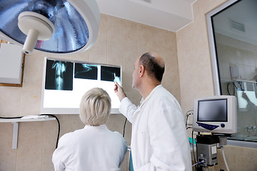 Image showing veterinarian and assistant in a small animal clinic